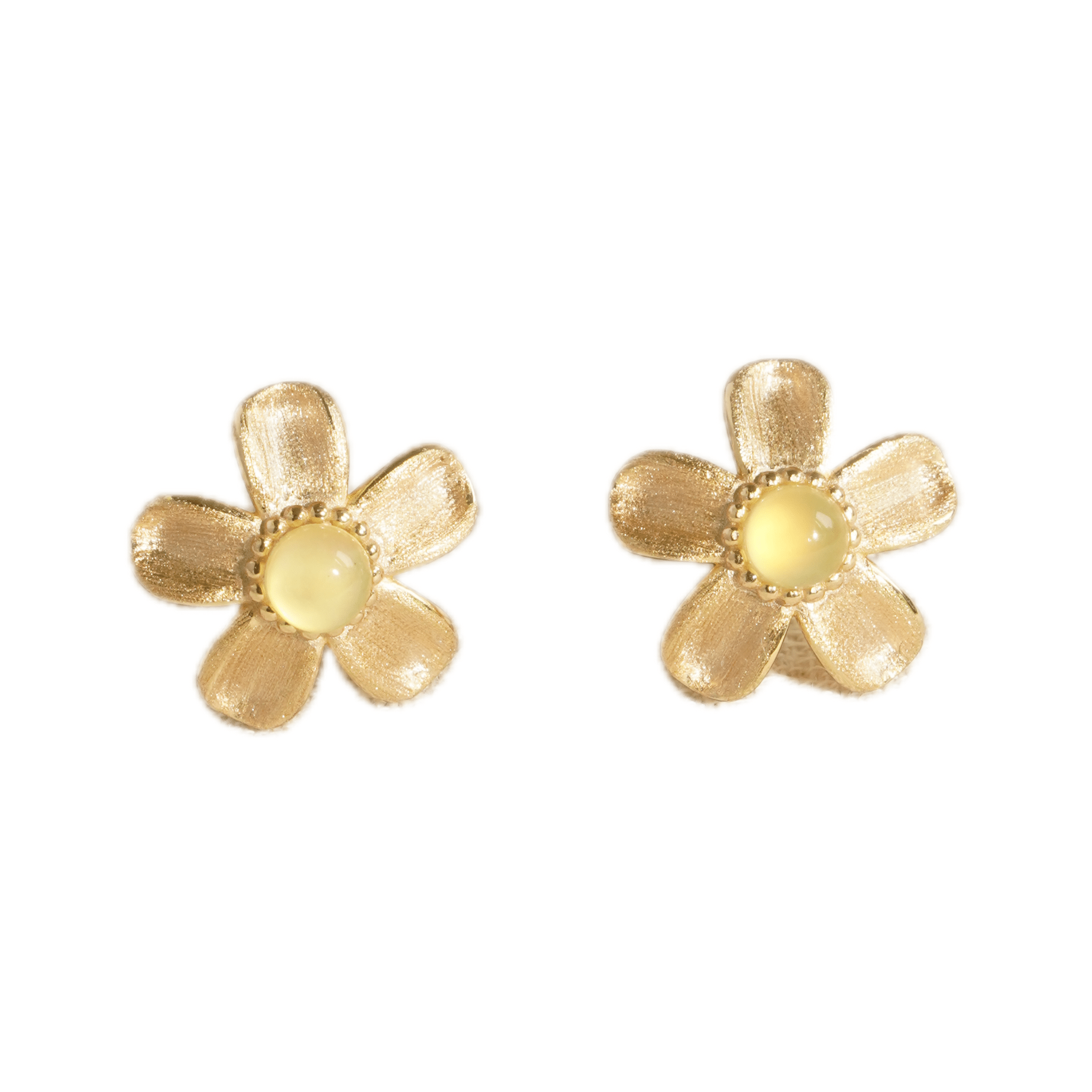 ToneTale 18K Gold Shimmering Star Flower Earrings | MADAX