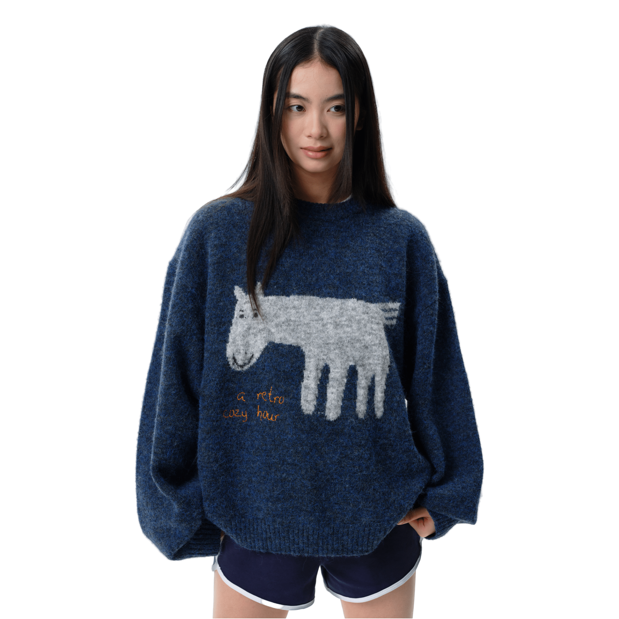 ARCH Blue Color - blocked Pony Crew Neck Sweater | MADAX