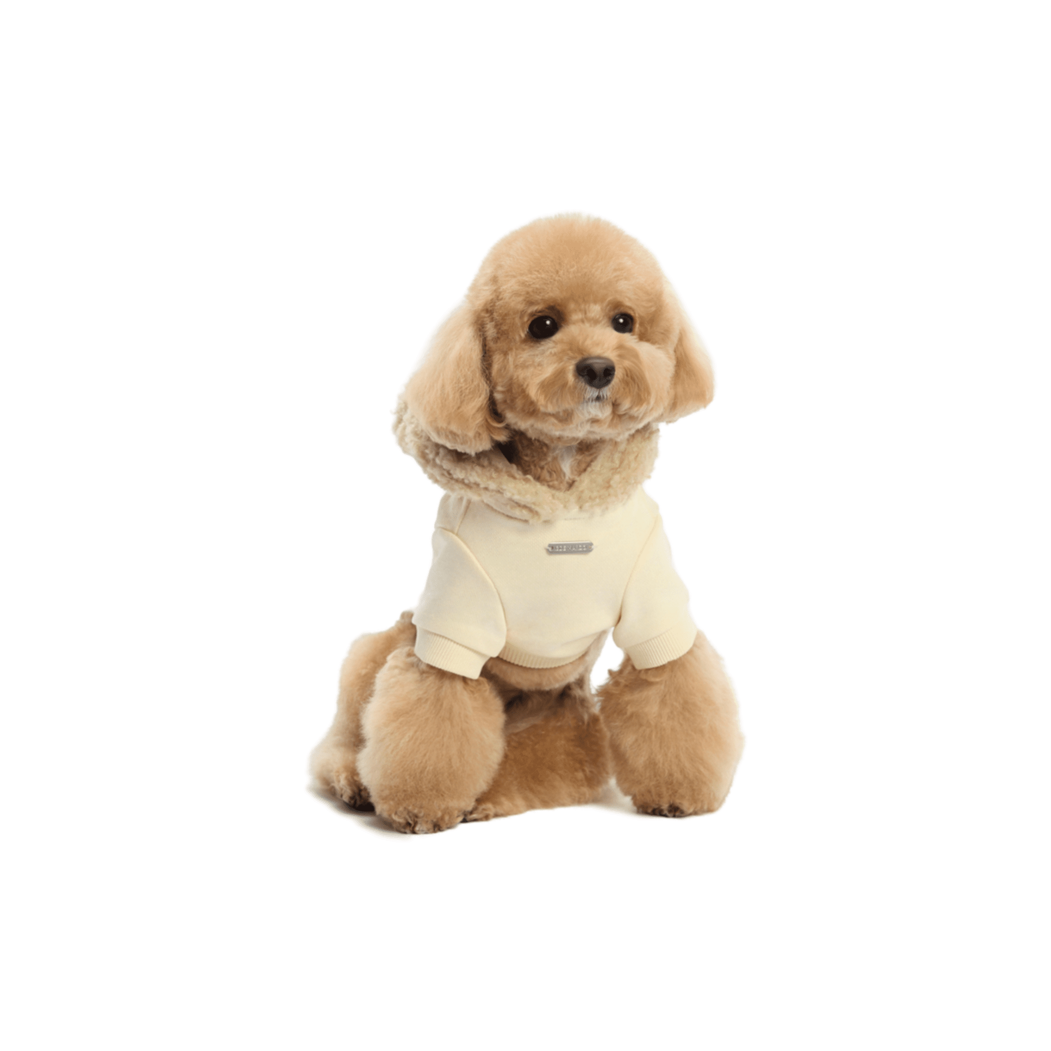 13DE MARZO Doll Pet Hoodie in Brown | MADAX