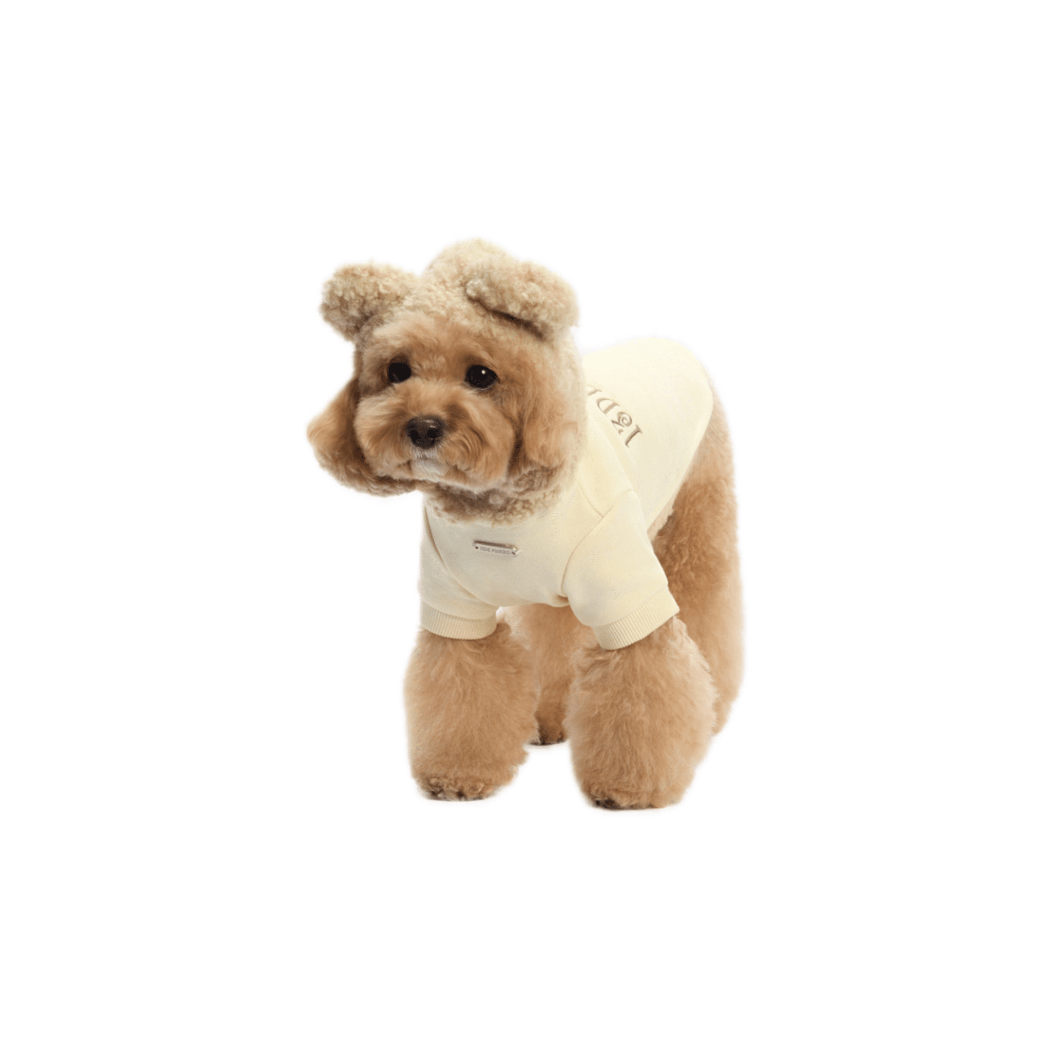 13DE MARZO Doll Pet Hoodie in Brown | MADAX
