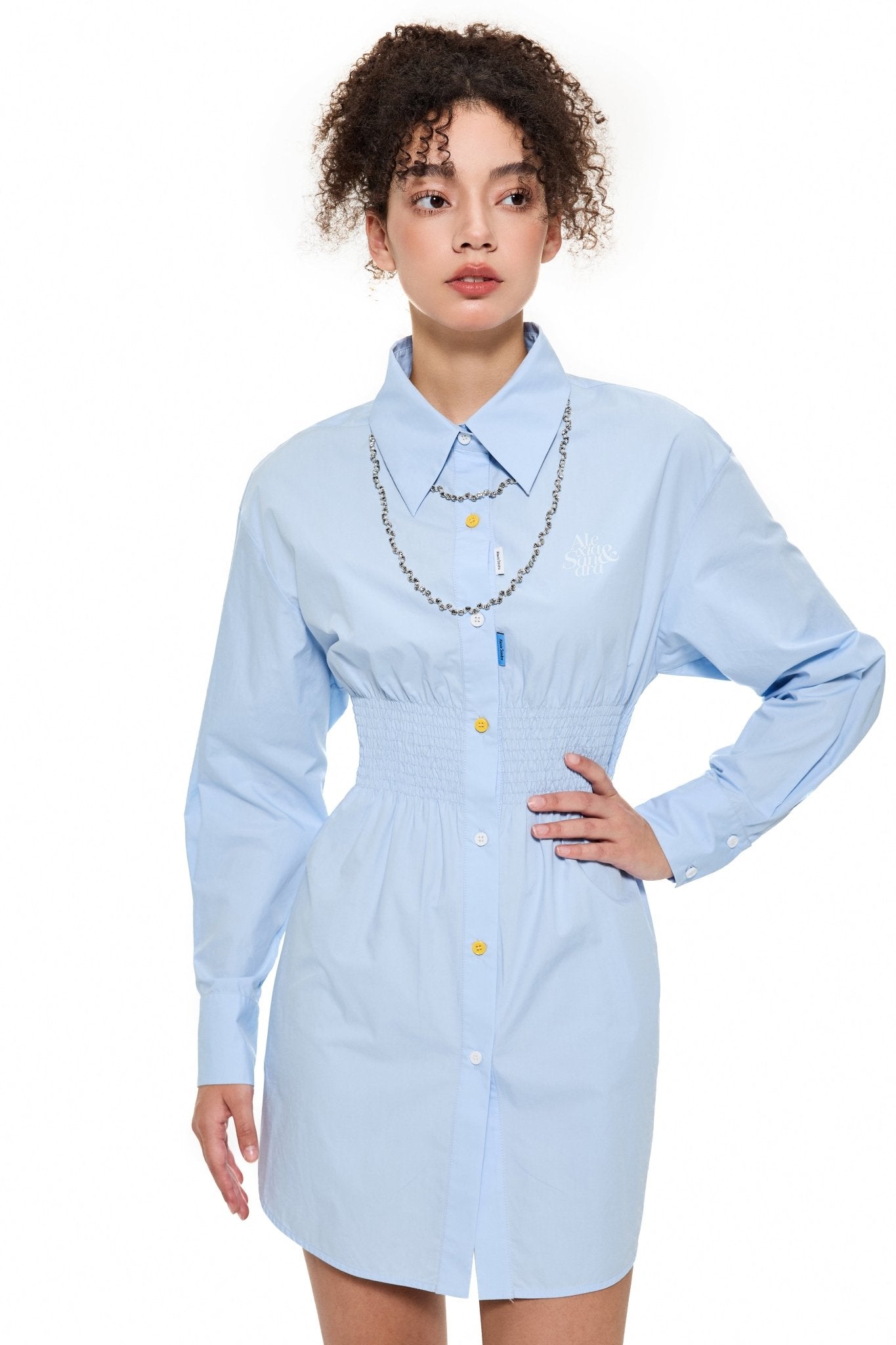 Alexia Sandra Shifted Shirt Dress in Blue | MADA IN CHINA