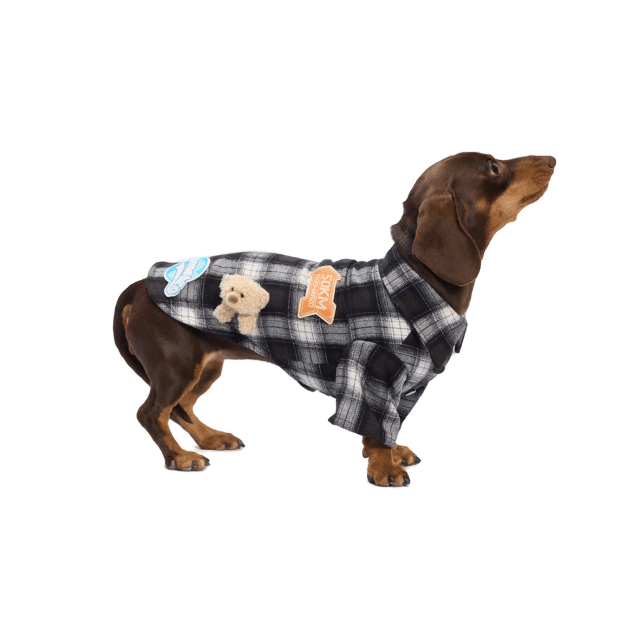 13DE MARZO Travel Bear Pet Shirt in Black | MADAX