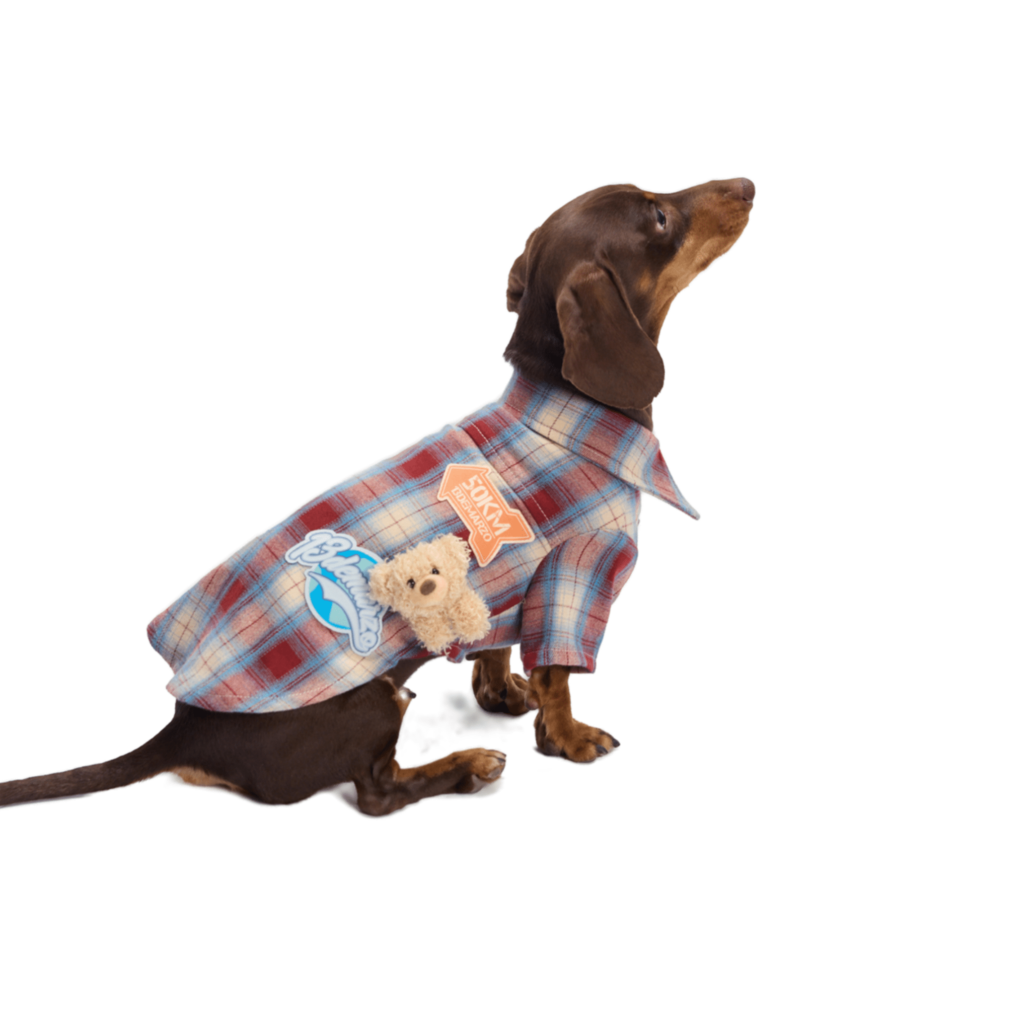 13DE MARZO Travel Bear Pet Shirt in Red | MADAX